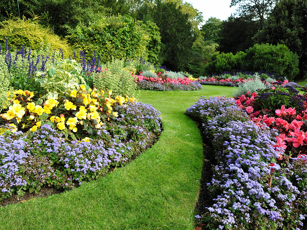 freshly mown lawn with flowers