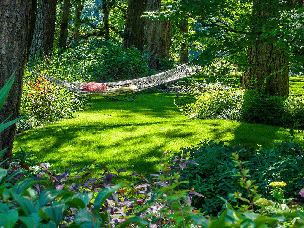 Hammock hangs between two trees