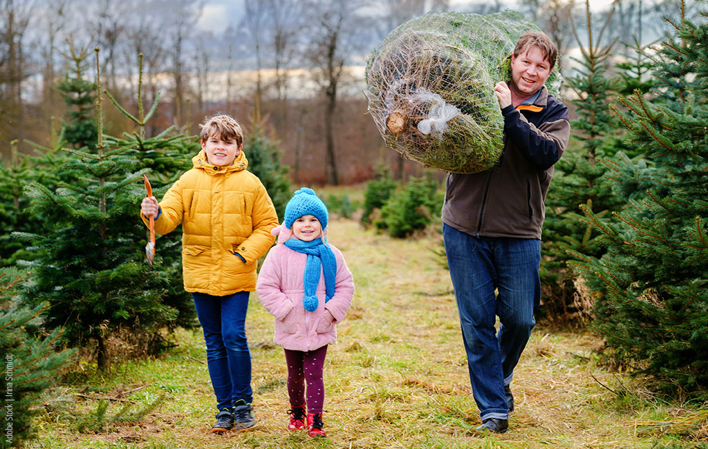 A man carrying a christmas tree with two children next to him 