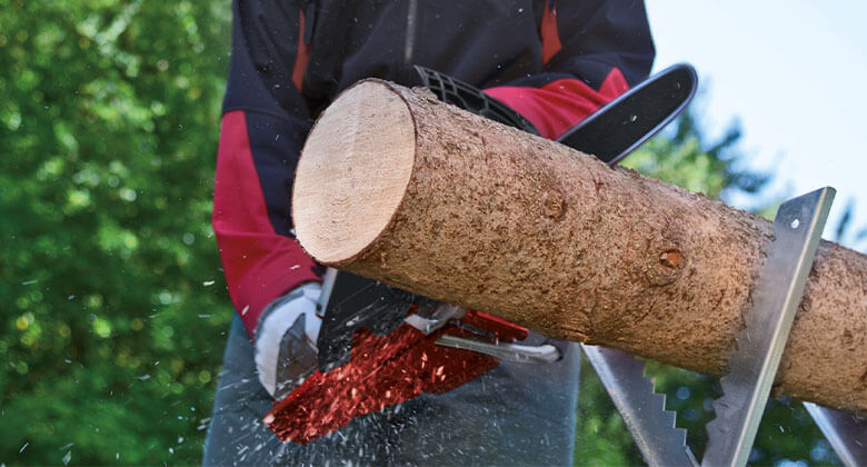 cuttting tree trunk with chainsaw front perspective
