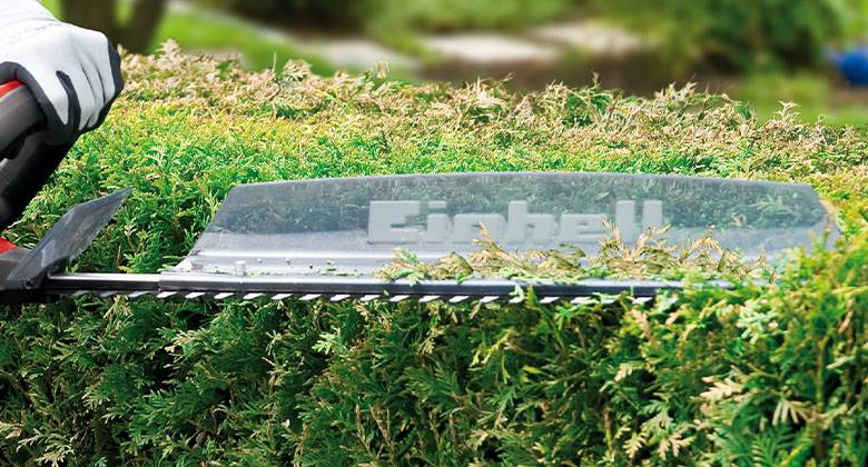 hedge trimmer close view